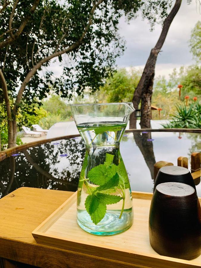 Kuralemu Casa De Campo Curacavi Eksteriør bilde